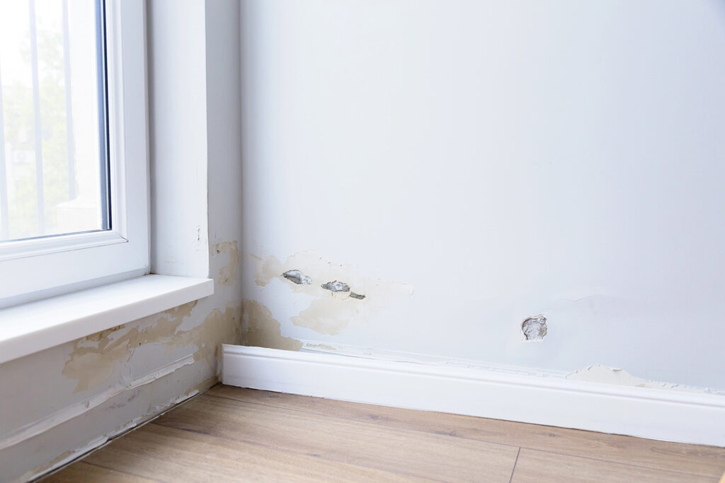 Wilgoć w ścianach prowadzi do odpadania tynków, uszkodzeń powierzchni i rozwoju pleśni. Im szybciej problem zostanie wykryty i usunięty, tym mniejsze ryzyko kosztownego remontu.